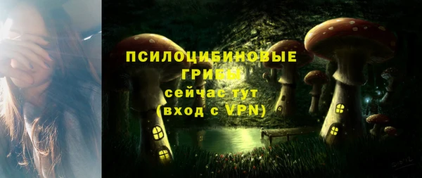 гидра Михайловск