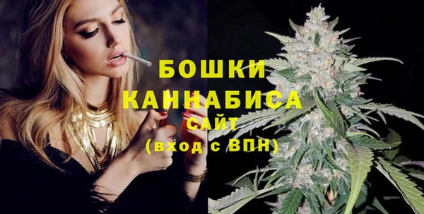 гидра Михайловск
