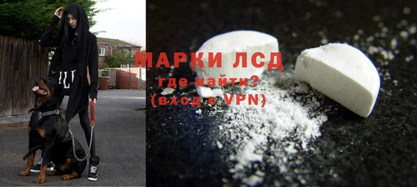 гидра Михайловск