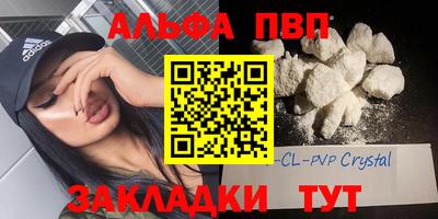 дмт Кингисепп