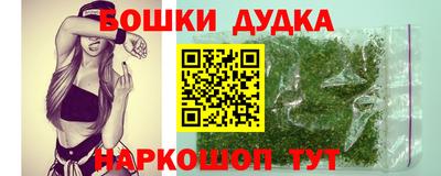 дмт Кингисепп