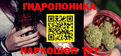 дмт Кингисепп