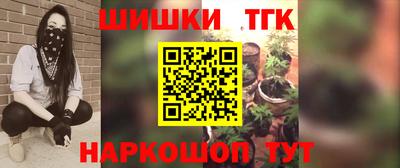 дмт Кингисепп