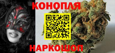 дмт Кингисепп