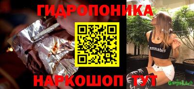 дмт Кингисепп