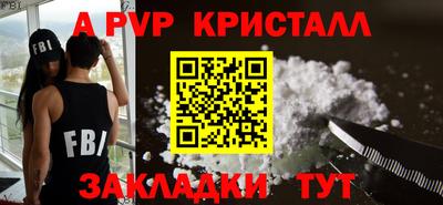 дмт Кингисепп