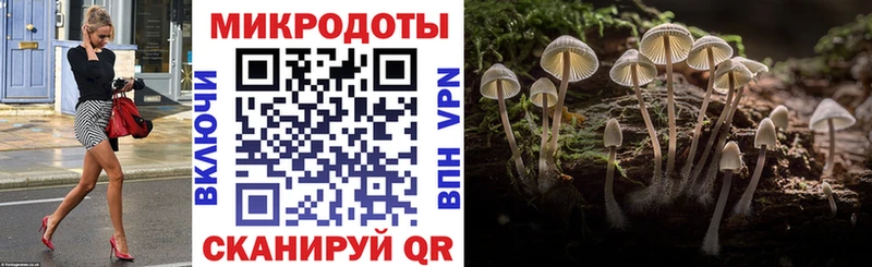 хочу   Фурманов  Псилоцибиновые грибы мицелий 
