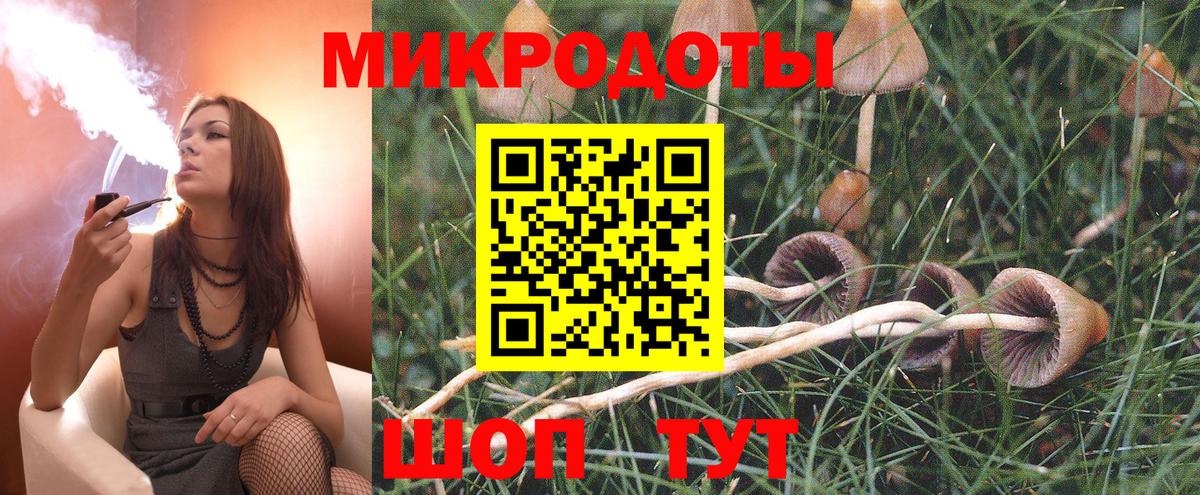 Псилоцибиновые грибы Magic Shrooms  Фурманов 