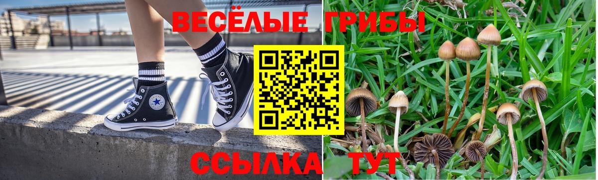 Псилоцибиновые грибы GOLDEN TEACHER Фурманов