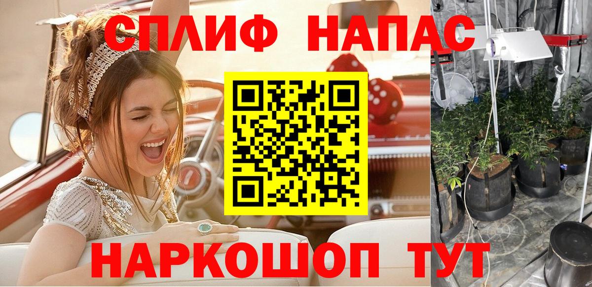 МАРИХУАНА семена Фурманов